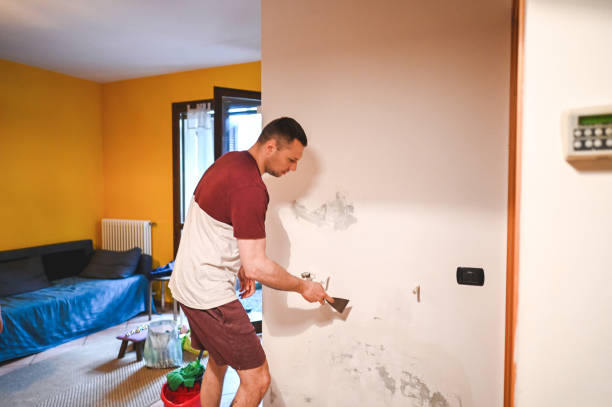 Best Commercial Mold Removal  in Olivarez, TX